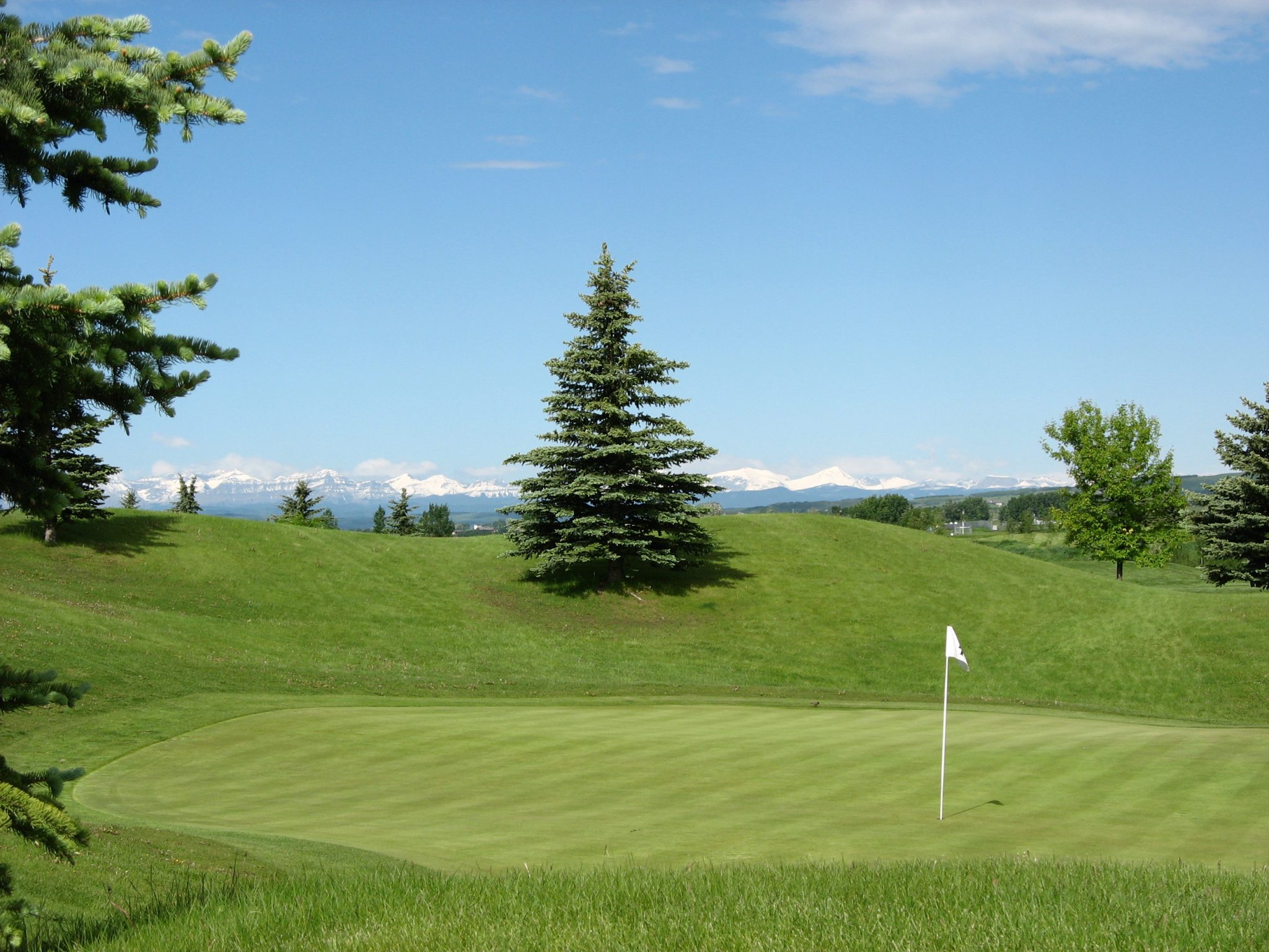 darcy ranch golf club booking policies