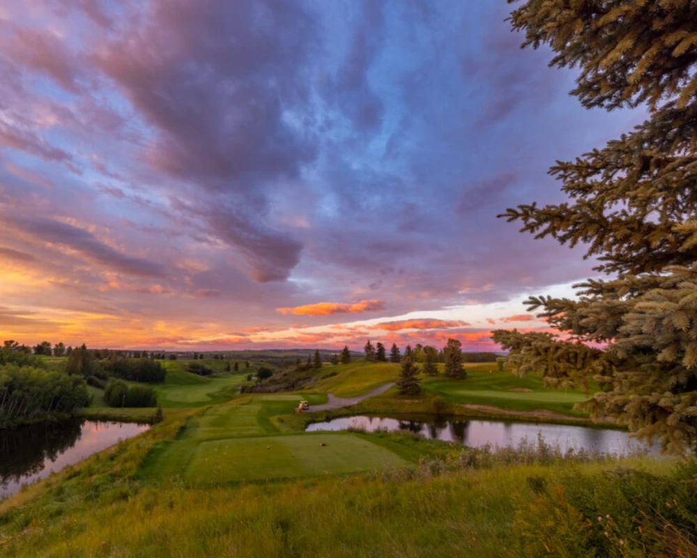 D Arcy Ranch Golf DETAILS Web Res NZ 39 1024x683
